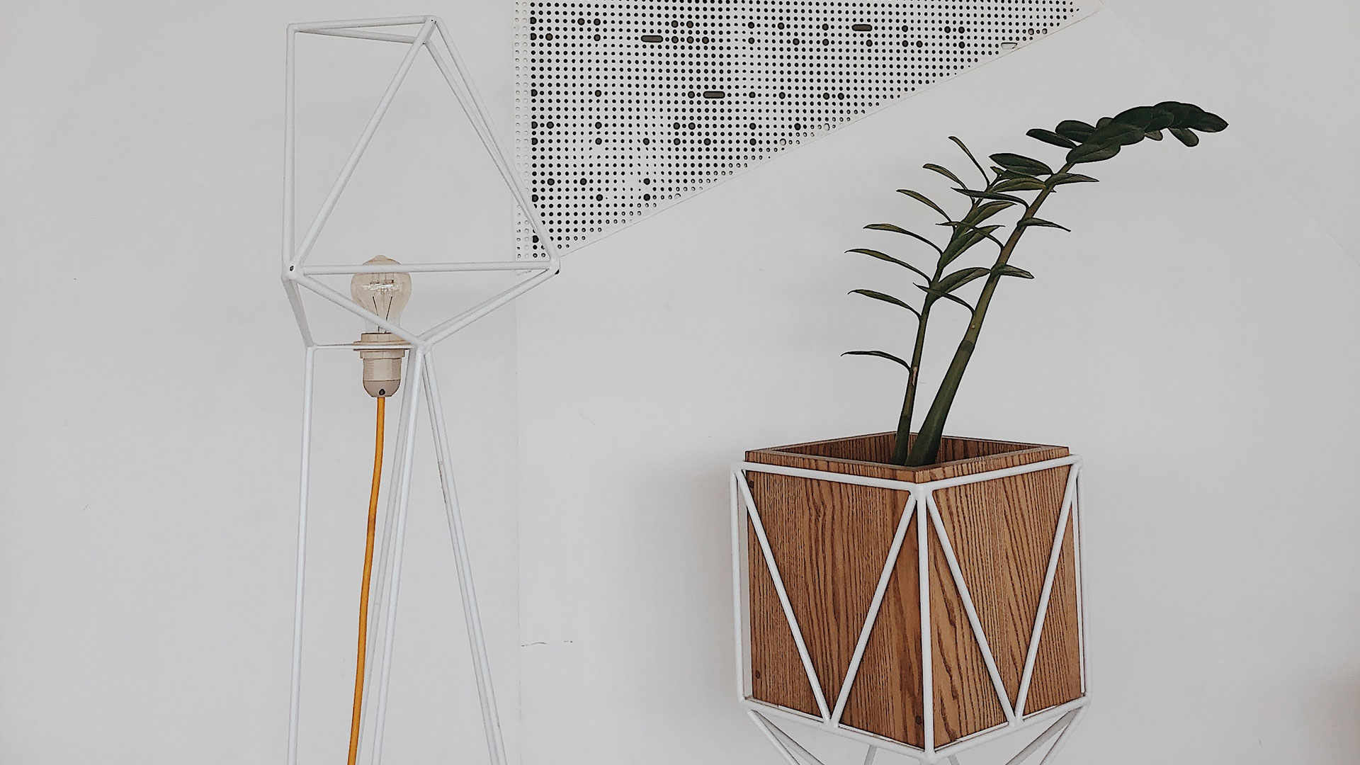 Get to know Binsha, the top freelance digital marketer.